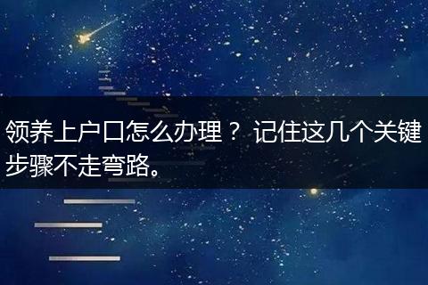 领养上户口怎么办理？ 记住这几个关键步骤不走弯路。