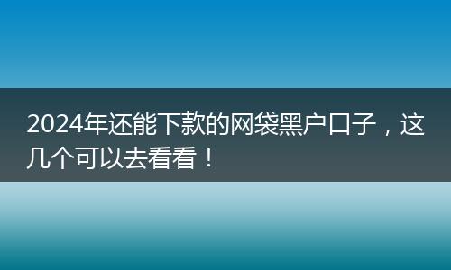 2024年还能下款的网袋黑户口子，这几个可以去看看！