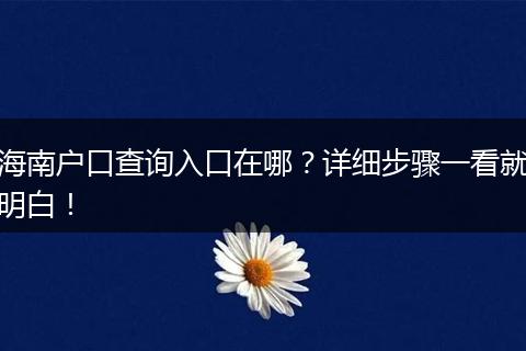 海南户口查询入口在哪？详细步骤一看就明白！