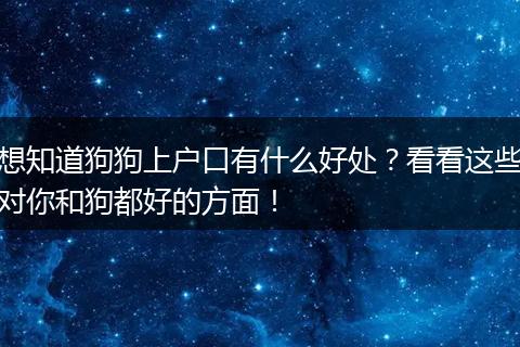 想知道狗狗上户口有什么好处？看看这些对你和狗都好的方面！