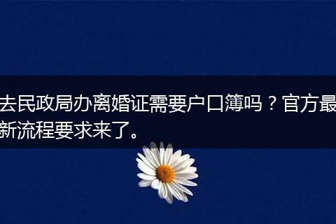 去民政局办离婚证需要户口簿吗？官方最新流程要求来了。