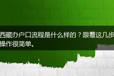 西藏办户口流程是什么样的？跟着这几步操作很简单。