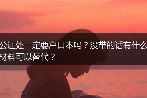 公证处一定要户口本吗？没带的话有什么材料可以替代？
