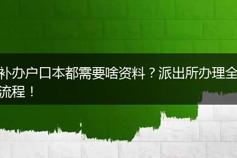 补办户口本都需要啥资料？派出所办理全流程！