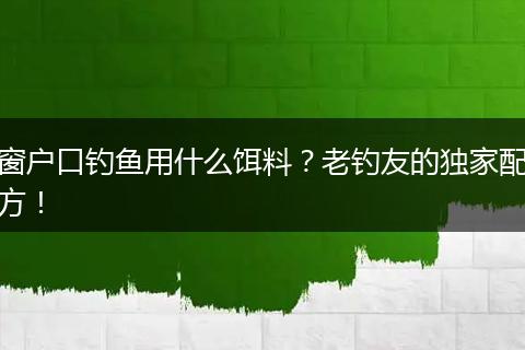 窗户口钓鱼用什么饵料？老钓友的独家配方！