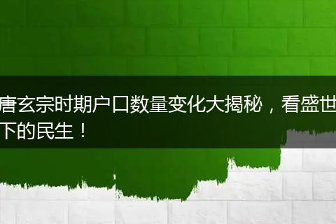 唐玄宗时期户口数量变化大揭秘，看盛世下的民生！