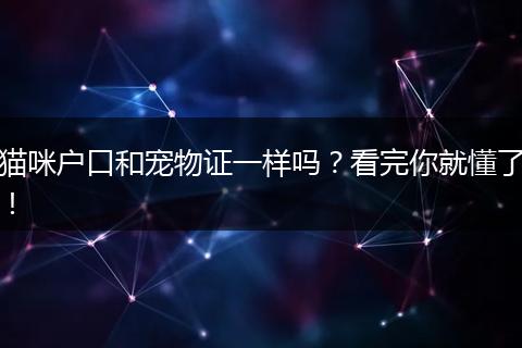猫咪户口和宠物证一样吗？看完你就懂了！