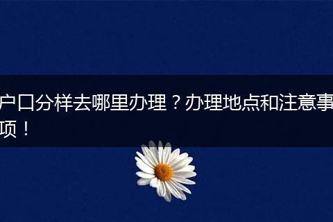 户口分样去哪里办理？办理地点和注意事项！