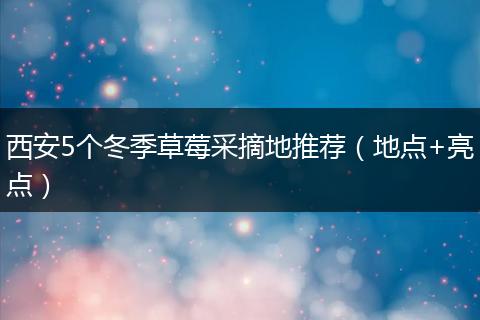 西安5个冬季草莓采摘地推荐（地点+亮点）