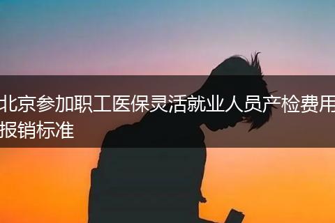 北京参加职工医保灵活就业人员产检费用报销标准