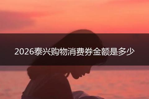 2026泰兴购物消费券金额是多少