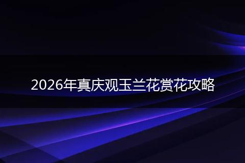 2026年真庆观玉兰花赏花攻略