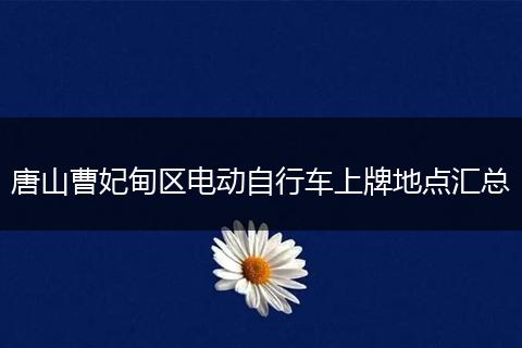 唐山曹妃甸区电动自行车上牌地点汇总
