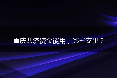 重庆共济资金能用于哪些支出？