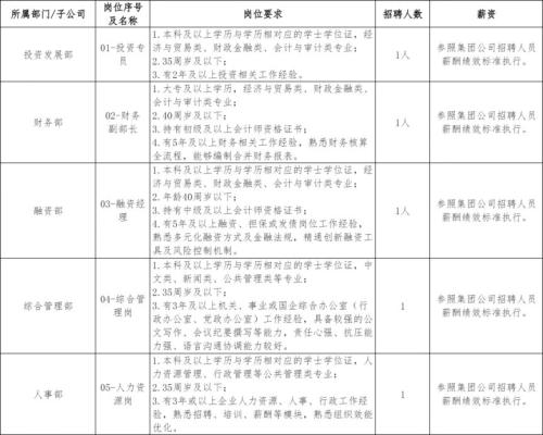 2026年井冈山市城投控股集团有限公司招聘公告