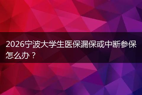 2026宁波大学生医保漏保或中断参保怎么办？