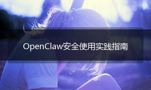 OpenClaw安全使用实践指南