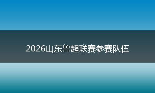 2026山东鲁超联赛参赛队伍