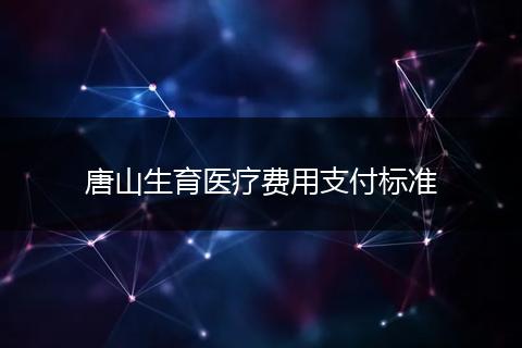 唐山生育医疗费用支付标准