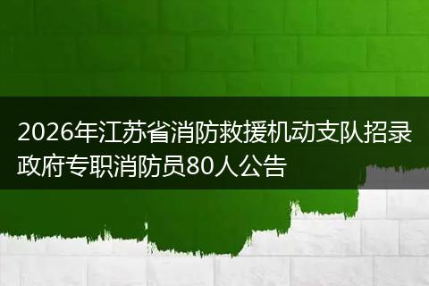 2026年江苏省消防救援机动支队招录政府专职消防员80人公告