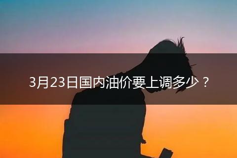 3月23日国内油价要上调多少？