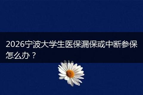 2026宁波大学生医保漏保或中断参保怎么办？