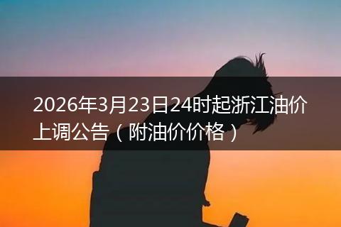 2026年3月23日24时起浙江油价上调公告（附油价价格）