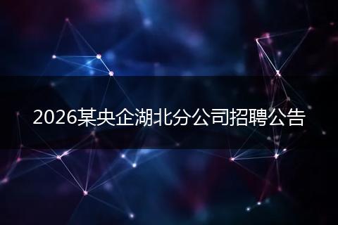 2026某央企湖北分公司招聘公告