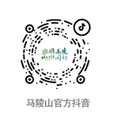 2026清明节徐州马陵山景区山野露营风筝节时间+地点