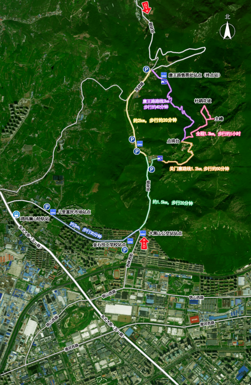 2026大连大黑山杜鹃花海季游览指南