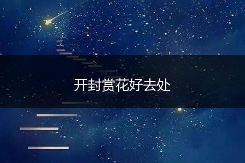 开封赏花好去处