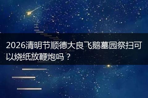 2026清明节顺德大良飞鹅墓园祭扫可以烧纸放鞭炮吗？