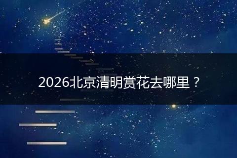 2026北京清明赏花去哪里？