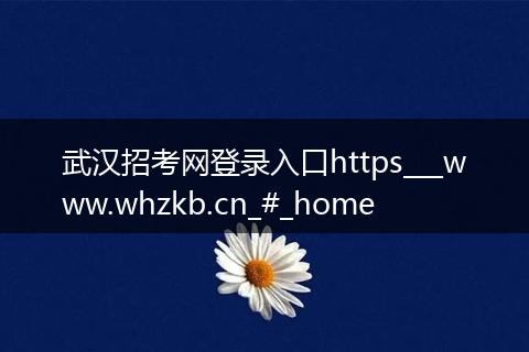 武汉招考网登录入口https___www.whzkb.cn_#_home