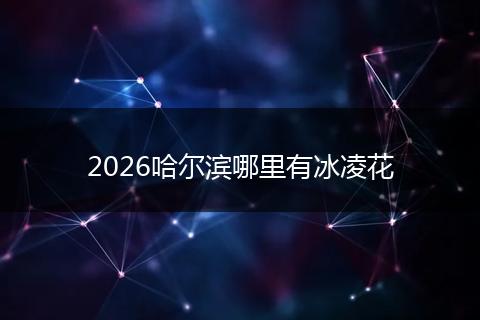 2026哈尔滨哪里有冰凌花