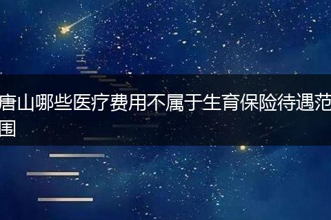 唐山哪些医疗费用不属于生育保险待遇范围
