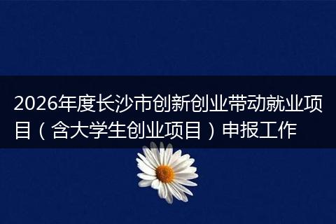 2026年度长沙市创新创业带动就业项目（含大学生创业项目）申报工作