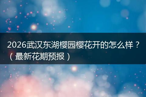 2026武汉东湖樱园樱花开的怎么样？（最新花期预报）
