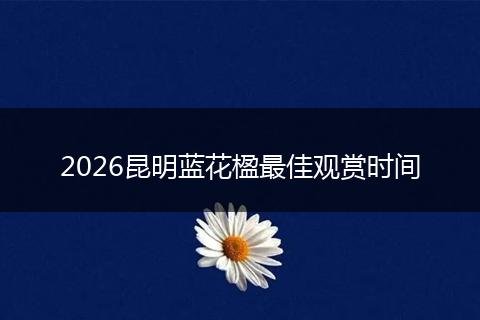 2026昆明蓝花楹最佳观赏时间
