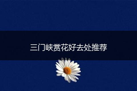 三门峡赏花好去处推荐