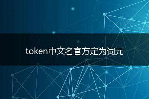token中文名官方定为词元