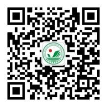 海南省农垦实验中学2026年校园公开招聘教师（岗位+报名+条件）