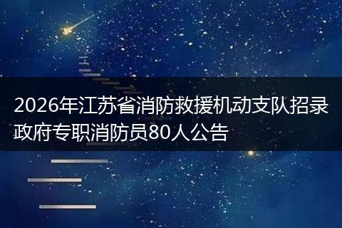 2026年江苏省消防救援机动支队招录政府专职消防员80人公告