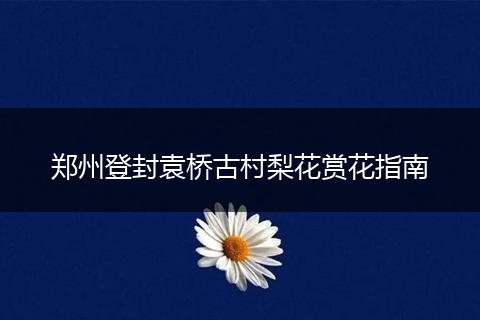 郑州登封袁桥古村梨花赏花指南