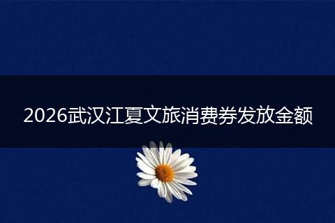 2026武汉江夏文旅消费券发放金额