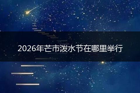 2026年芒市泼水节在哪里举行