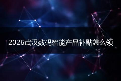 2026武汉数码智能产品补贴怎么领
