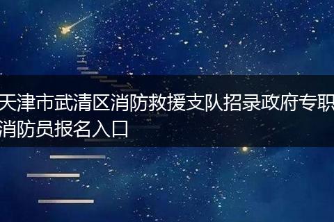 天津市武清区消防救援支队招录政府专职消防员报名入口