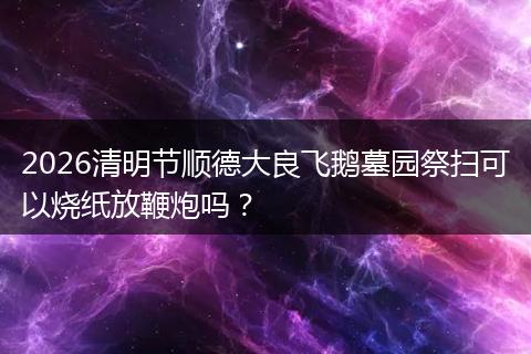 2026清明节顺德大良飞鹅墓园祭扫可以烧纸放鞭炮吗？
