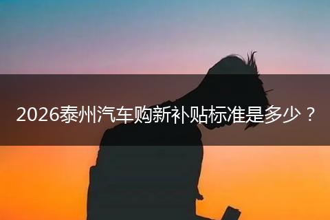 2026泰州汽车购新补贴标准是多少？